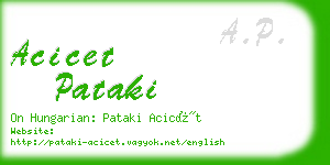 acicet pataki business card